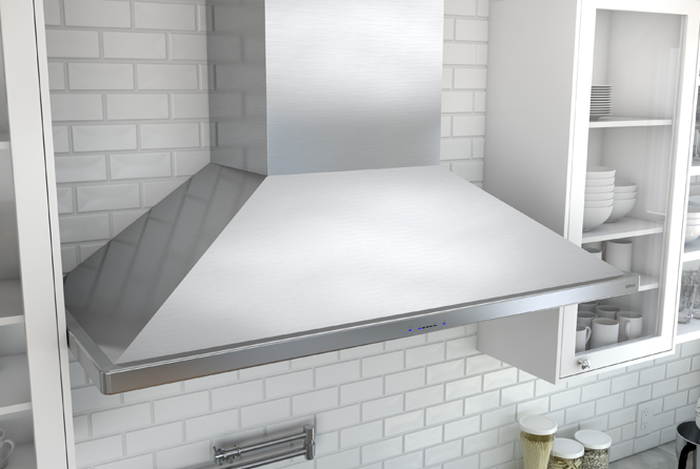 Zephyr ZSPE36DS 36 Inch Mounted on Wall 1200 CFM