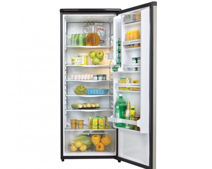 Danby DAR110A1BSLDD 24 Inch Free Standing All Fridge Column