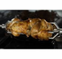 Capital CGSR366N 36 Inch Culinarian Gas Range