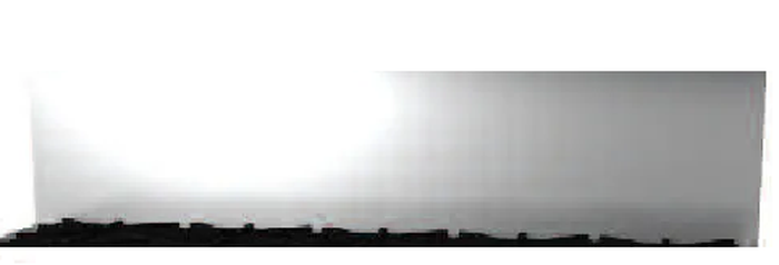 BlueStar BG624BSP Back Guard