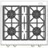 Capital CSB304L 30 Inch Dual Fuel Range