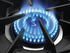Capital MCOR304 30 Inch Gas Range