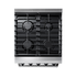 Thor Kitchen LRG2401 24 Inch Gas Range